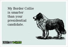 My Border Collie is smarter than your presidential candidate.