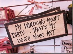 My dogs love nose art