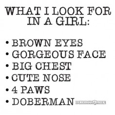 My heart belongs to a Doberman. ❤️ #dobermanpride #doberman #dobermanpinscher