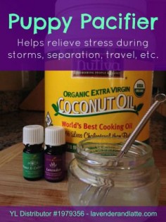Natural remedy for dogs using essential oils to relieve stress caused by storms, separation, travel, etc.