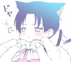 Neko Levi Rivaille -my girlfriend will be upset when she sees this