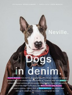 Neville Jacobs in Love Magazine's Dogs in Denim, Fall Issue 2015