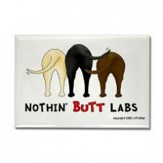 Nothin' like a Lab bum!
