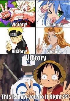one piece memes tumblr - Google Search