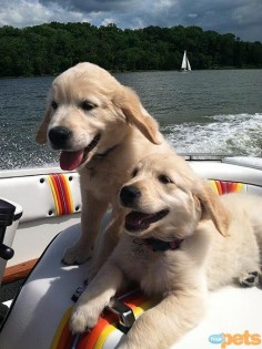 pals having fun on the lake