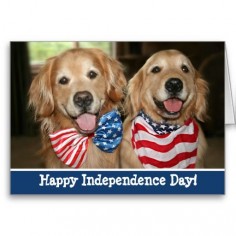 Patriotic Golden Retriever Independence Day Card by #AugieDoggyStore