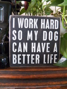 PBK Wood Wooden 5" x 5" BOX SIGN "I Work Hard So My Dog Can Have a Better Life"