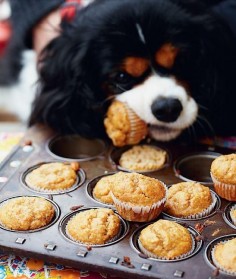 Peanut Butter and Banana Dog Cupcakes - The Happy Foodie