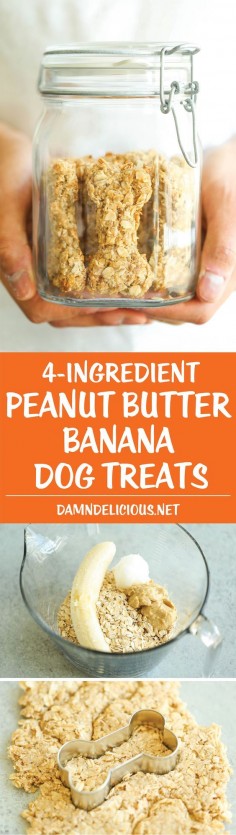 Peanut Butter Banana Dog Treats ❤ All you need is 4 ingredients for these hypoallergenic treats! And the coconut oil makes these so HEALTHY for your pup!