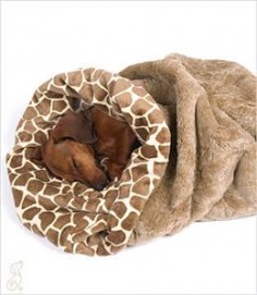 Perfect Dachshund blanket for Burrowing! Yep, a doxie thing!