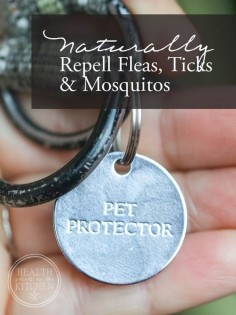 Pet Protector; The Best Non-Toxic Way to Prevent Fleas, Ticks & Mosquitos - Health Starts in the Kitchen