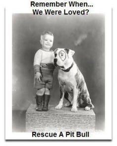 Petey from the Little Rascals, yep, was a Pit Bull.  Pit 's not the 's the people