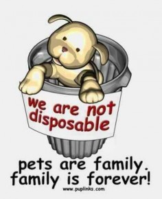 Pets are family!!! And if you can't treat em as such DONT HAVE THEM!!!!