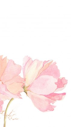 Pink watercolour floral flowers iphone phone wallpaper background lock screen