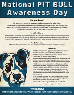 Pit Bull Awareness Flyer