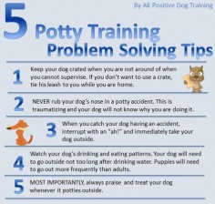 Potty Training Tips!