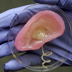 Princeton scientists developed a 3D-printed bionic ear that can hear radio frequencies human can't.