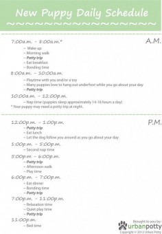 Printable New Puppy Daily Schedule