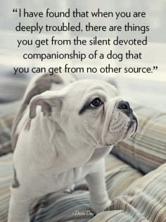 Quotes About Dogs - Dog Quotes