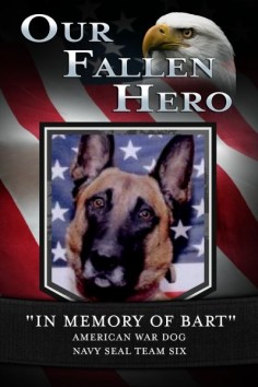 REMEMBER FALLEN MEMBERS OF SEAL TEAM 6, AND THEIR "BART" - THE GERMAN SHEPHERD CANINE - WE REMEMBER AND THANK YOU ALL!