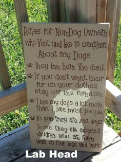 Rules for Non Dog Owners Hand Painted Wooden Sign Pets Non Pet Owners Lab Head Labrador Retriever