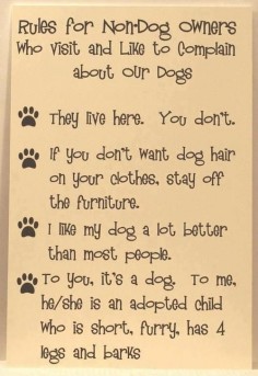 Rules For Non-Dog Owners. This goes for Non-cat owners. Just read cats were it says dogs!