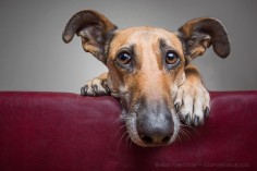 Sadness by Elke Vogelsang - Photo 138126897 - 500px