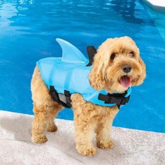 Sea Squirts Shark Fin Doggie Jacket