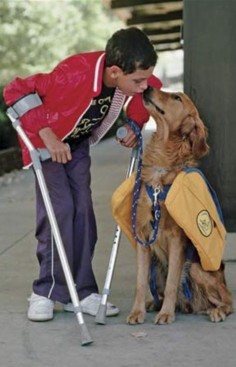 Service dog with affectionate owner • photo: sema_trnty on Flickr