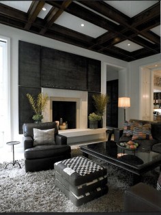 Shaggy gray carpet with black accent wall and furniture
