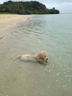 “she sat in the water for like an hour, just staring at the water peacefully'