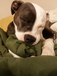 She sucks on blankets every night to fall asleep.