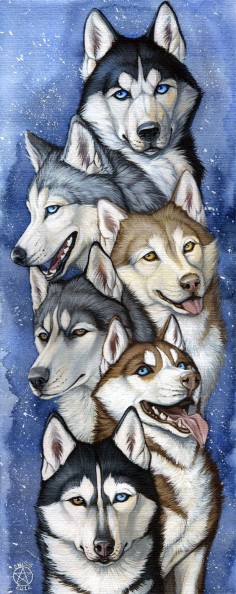 Siberian Huskies again Love those dogs ^_____^ ________________________________________________ Medium: watercolor+acrylic on watercolor paper, 40x16 cm