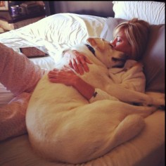 Snuggle  looks like something both my labs would do