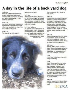 : ( so sad. Don’t let your dog be a backyard dog. They love you so much & they deserve so much more than this!