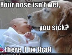 so sweet :) Reminds me of my dog kissing me this morning!