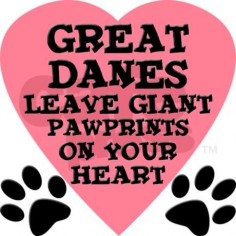 So true-best dogs I have ever had! I will never own a different breed now.