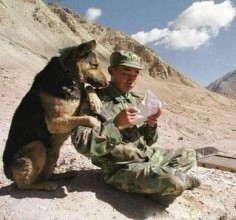 soldier & dog