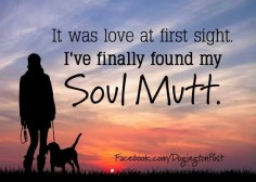 Soul Mutt this is how i felt about Angus. I loved him so much.
