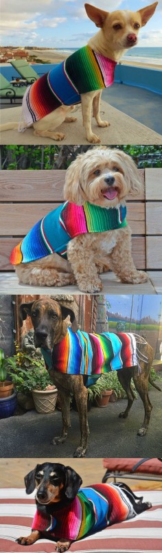 Spring Sale!  Use code "BAJA20"  and save 20% off your poncho!  *Proceeds donated to Baja Spay and Neuter Foundation.