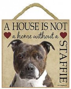 Staffordshire Bull Terrier Brindle. Beautiful plaque, hang it or stand it !