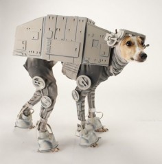 Star Wars Italian Greyhound