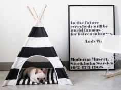 Striped Dog Teepee by #pipolli