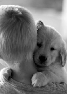 Sweet puppy love!
