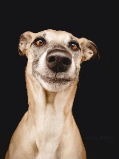 Sweetest face ever by Elke Vogelsang on 500px