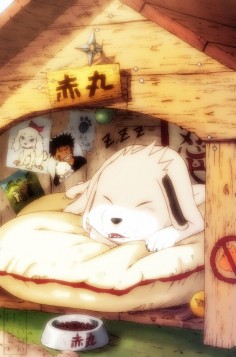 Tags: Anime, Hulfblood, NARUTO, Akamaru (NARUTO), Inuzuka Kiba, Photo (Object), Dog
