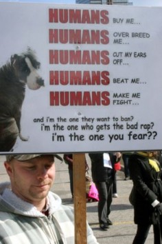Take some responsibility humans! Instead of killing dogs, punish the ones who make dogs suffer!