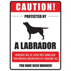 That's about right! [Lab Cool] Labradors Worldwide LabradAwesome Lab Designs Giveaway – Its a Lab Thing