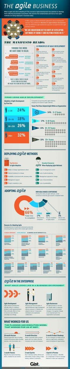 The agile business - not exactly agile marketing, but a good infographic to have around as you develop your agile marketing business.