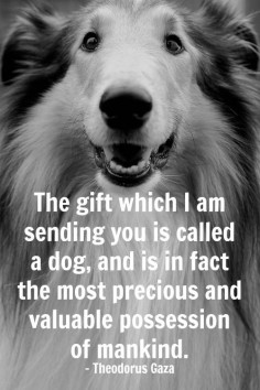 the best gift ever is a DOG! #dog #dogs #pet #pets #quote